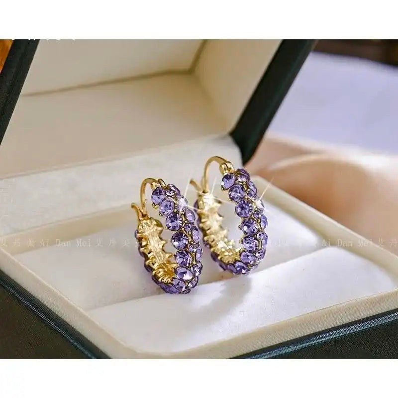 Blue Crystal Circle Hoop Earrings