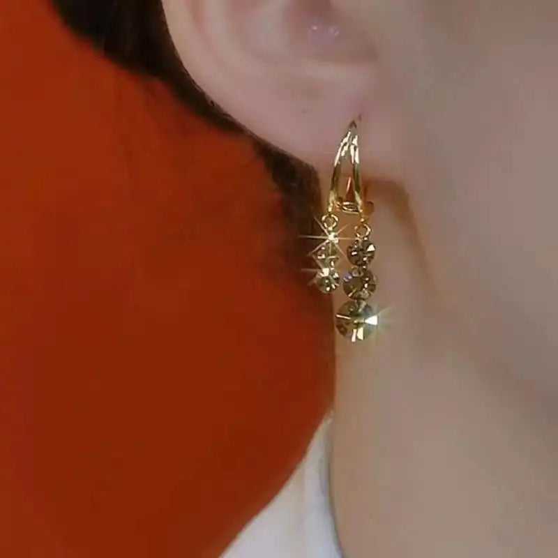Brown Crystal Minimalist Maillard Hoop Earrings