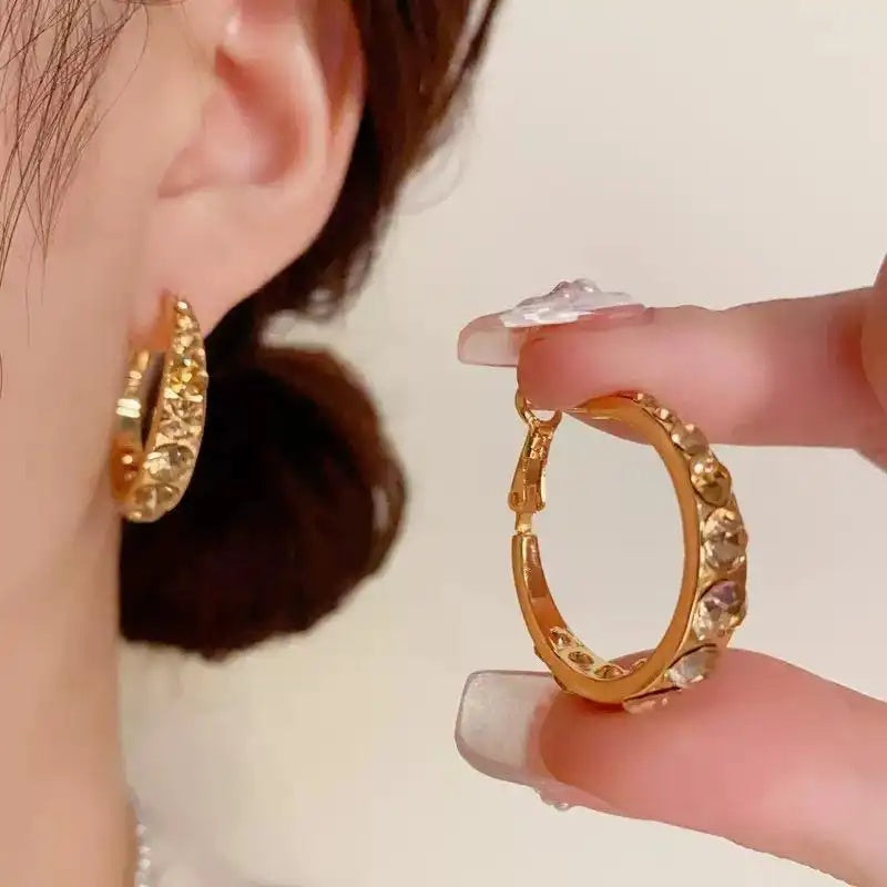 Brown Crystal Round Hoop Earrings