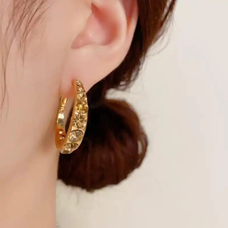 Brown Crystal Round Hoop Earrings