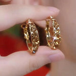 Brown Crystal Round Hoop Earrings