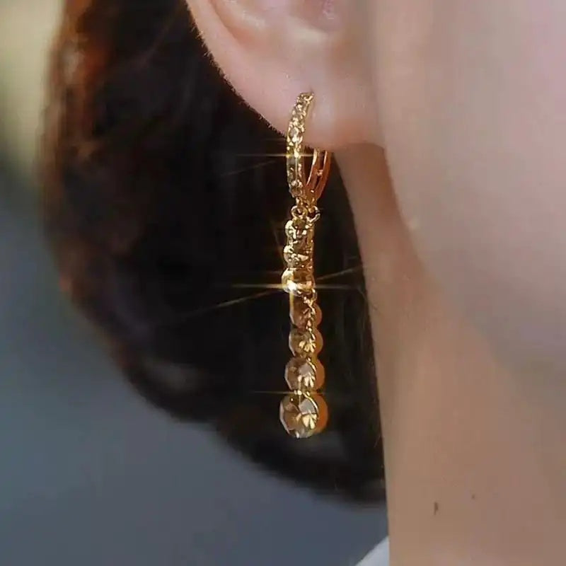 Brown Crystal Tassel Long Drop Earrings