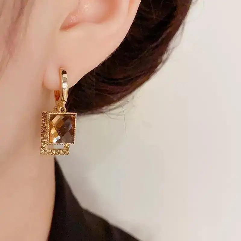 Brown Geometric Crystal Hoop Earrings