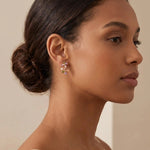 Crystal Butterfly Ear Hoop Earrings
