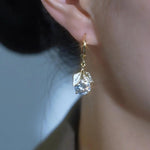 Crystal Ginkgo Leaf Ear Hooks Earrings