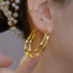 Double Layer Curve European Cold Hoop Earrings
