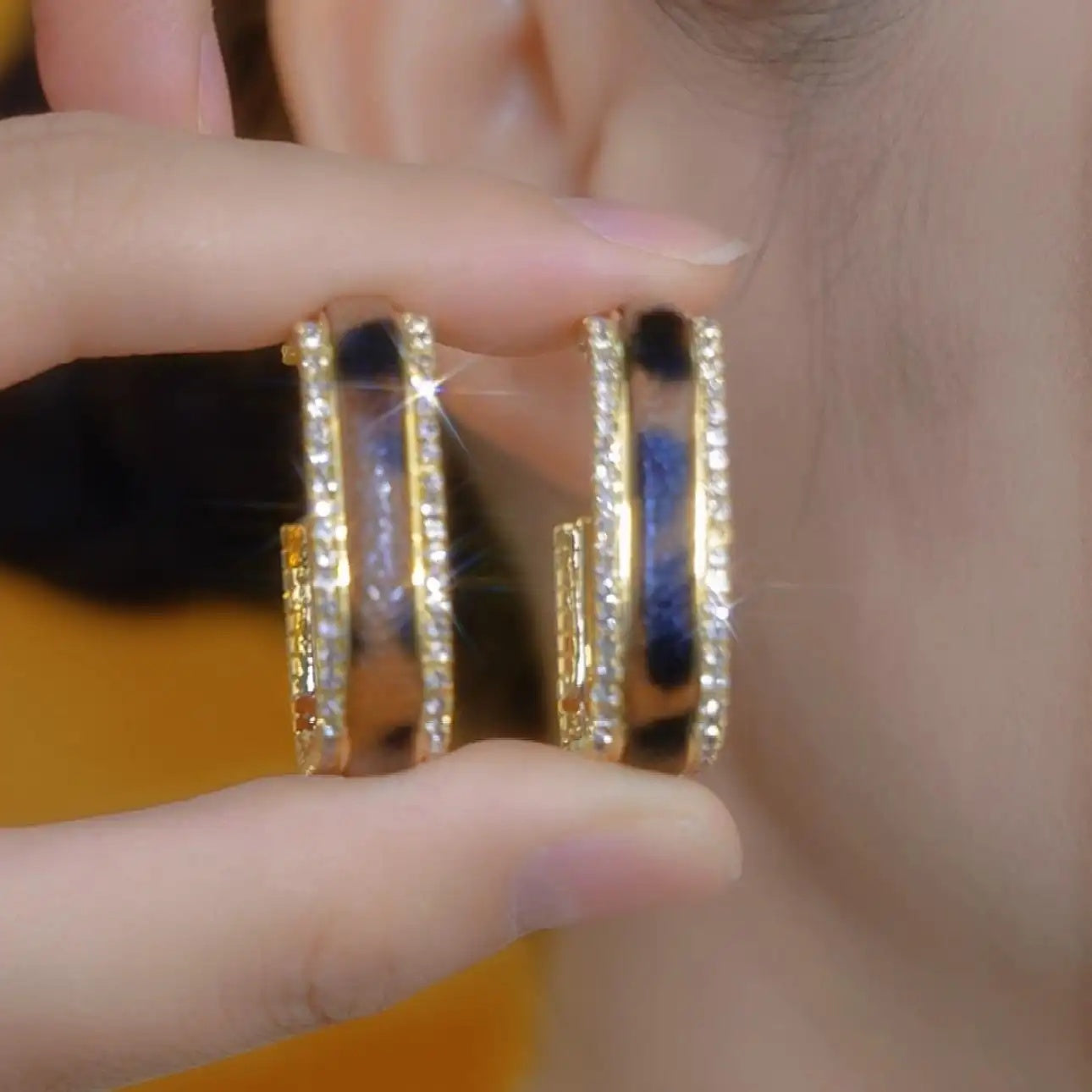 Large Hoop Earrings