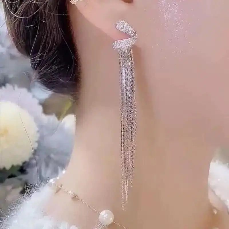 Long Tassel 925 Drop Earrings