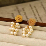 Rose Tassel Long Mesh Drop Earrings