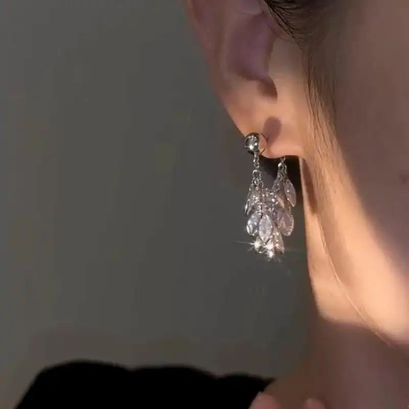 Silver Tassel Drop Earrings