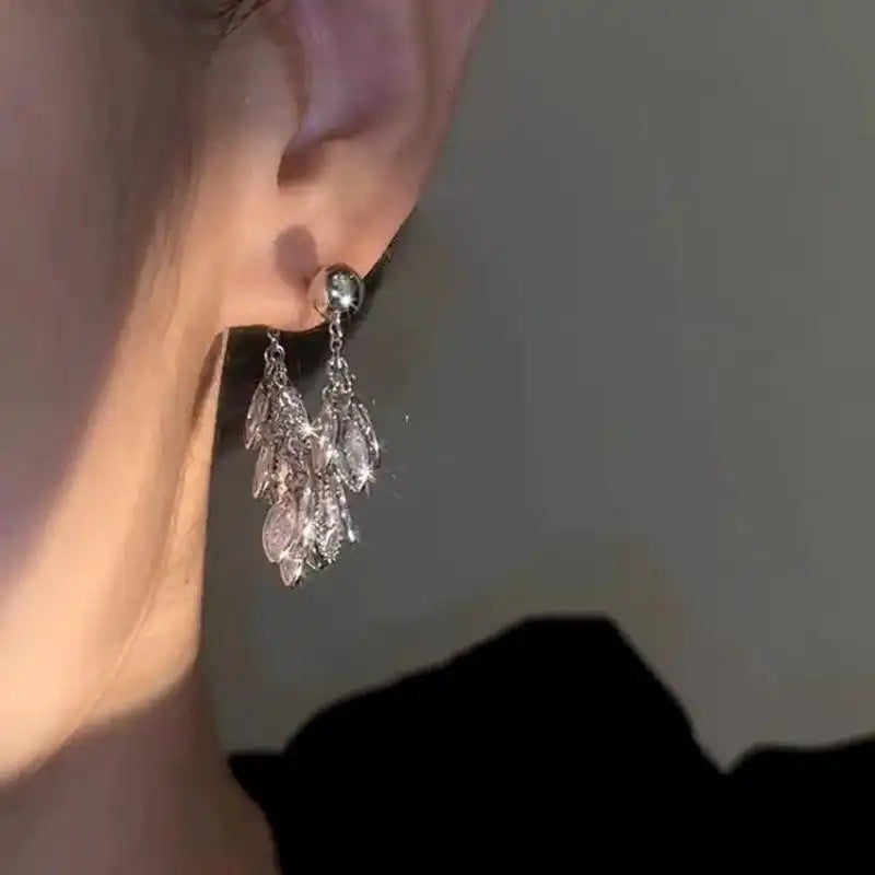 Silver Tassel Drop Earrings